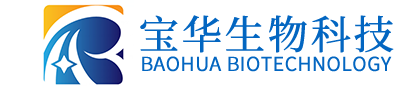 开云手机官方版在线入口-开云（中国）
